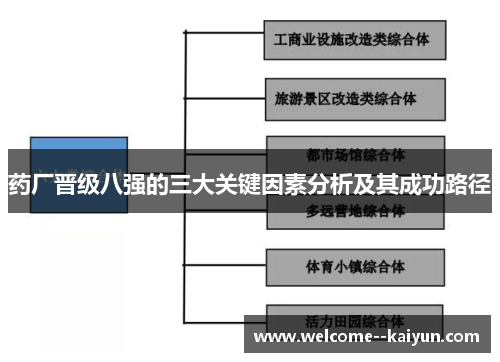药厂晋级八强的三大关键因素分析及其成功路径