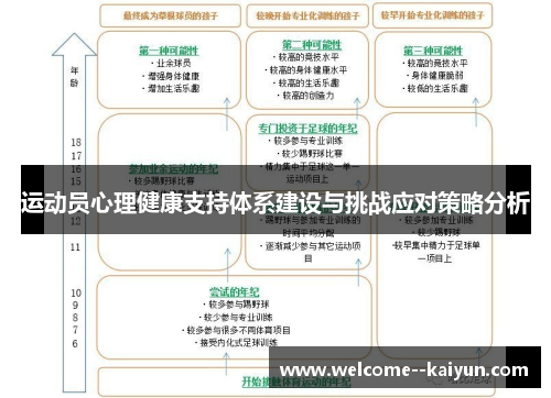 运动员心理健康支持体系建设与挑战应对策略分析