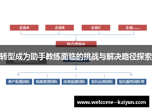 转型成为助手教练面临的挑战与解决路径探索 转型成为助手教练面临的挑战与解决路径探索