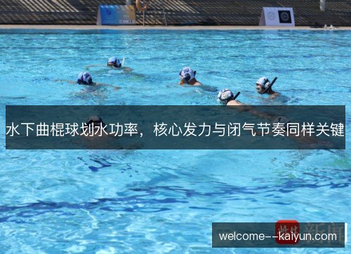 水下曲棍球划水功率,核心发力与闭气节奏同样关键 水下曲棍球划水功率,核心发力与闭气节奏同样关键